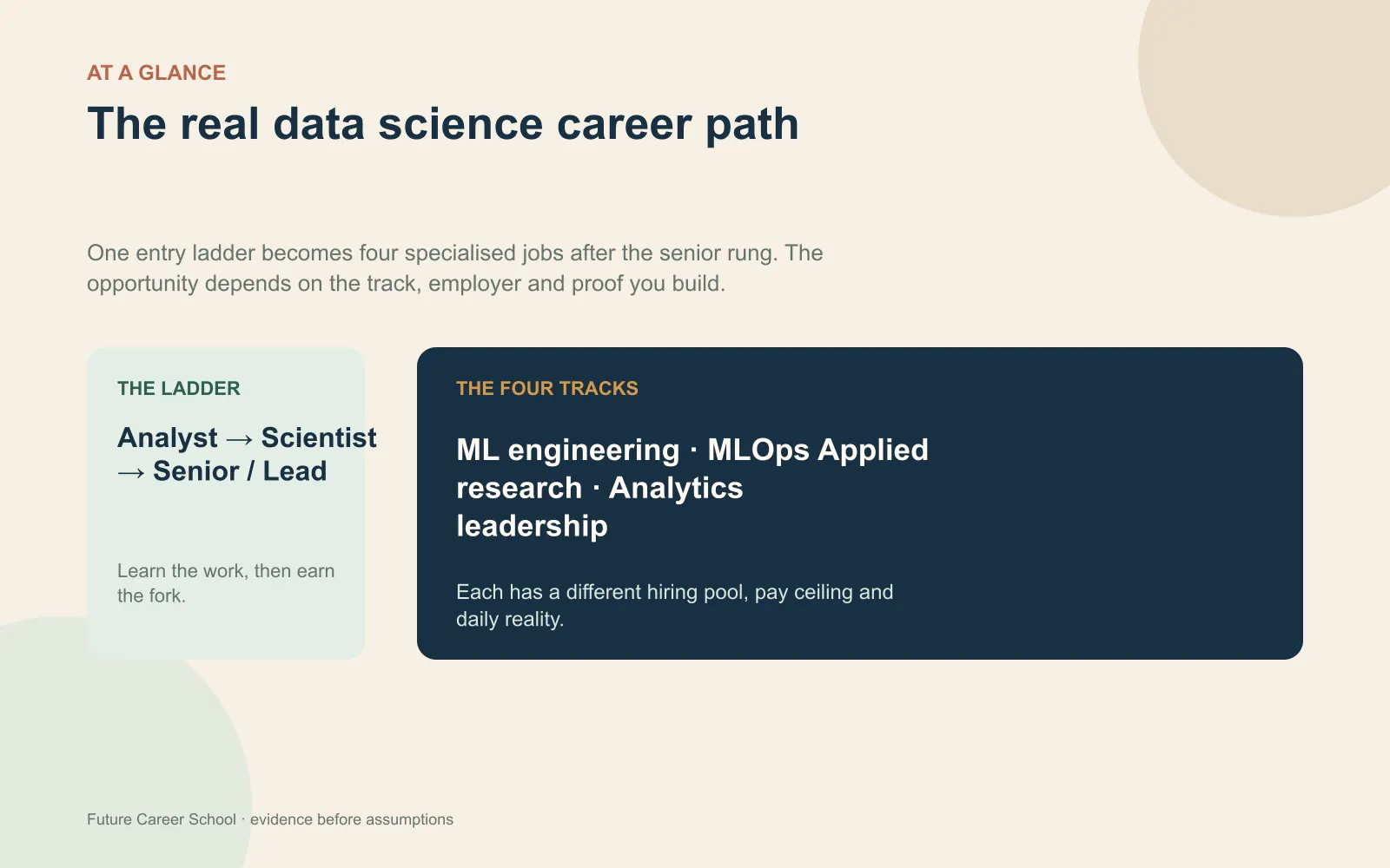 Summary card showing the data science entry ladder and its four senior tracks: machine learning engineering, MLOps, applied research and analytics leadership