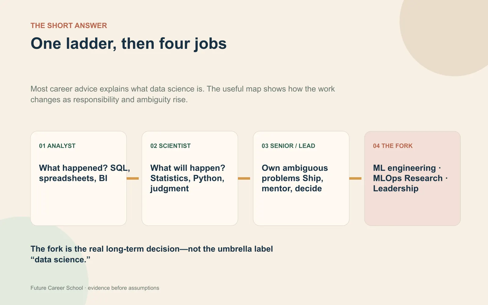 Linear roadmap showing the shared data science ladder from analyst to scientist to senior or lead before it forks into four specialised jobs