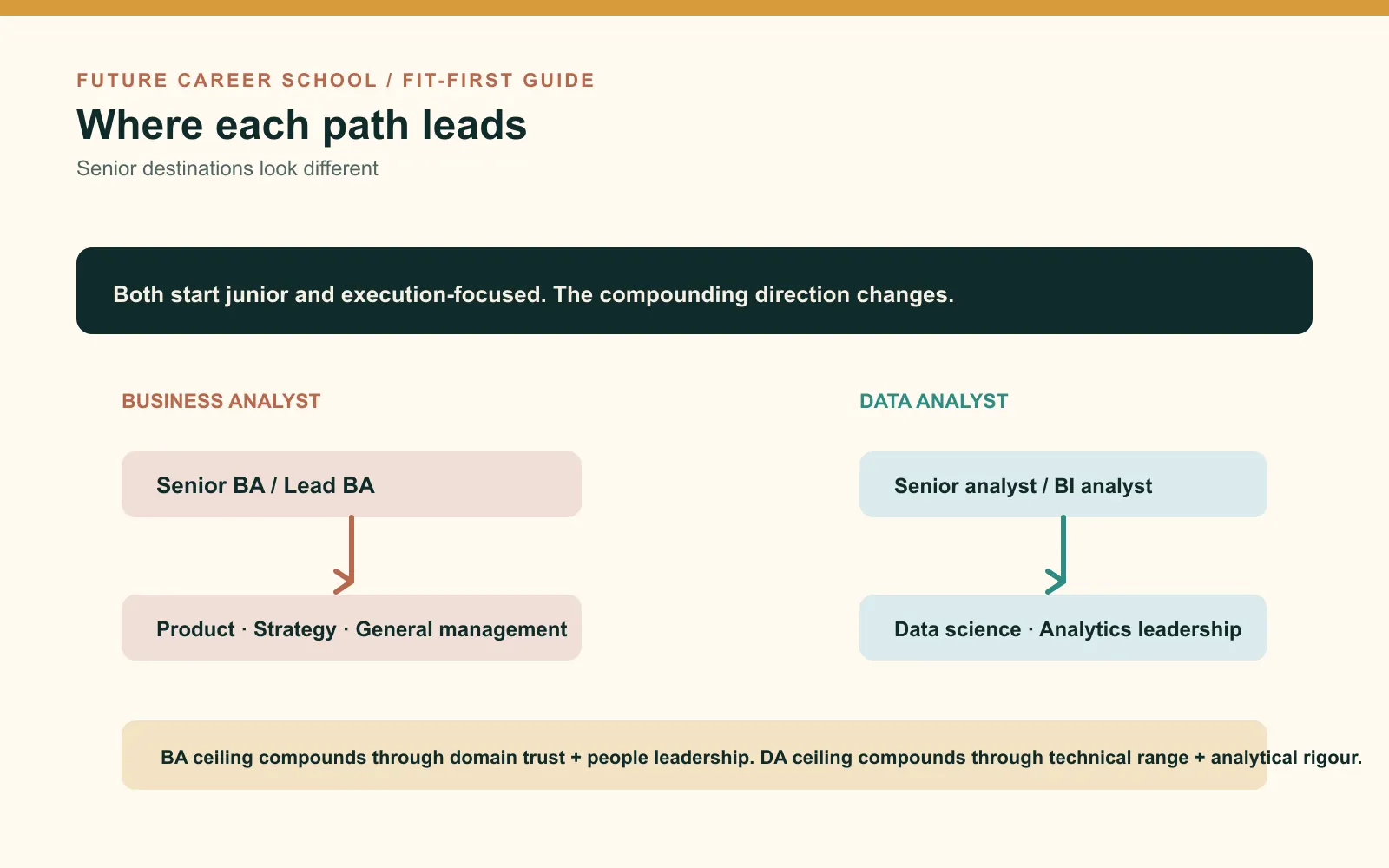 Senior-career roadmap contrasting business analyst routes toward product and strategy with data analyst routes toward data science and analytics leadership